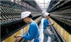中国轻纺城：秋装棉类织物批量动销